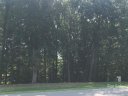 4026 Piaffe Avenue 106 sold home in Mint Hill, SC