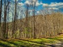 45 Ashewood Mountain Way sold home in Candler, SC