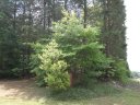 7837 Tradewinds Drive sold home in Sherrills Ford, SC