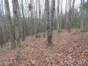 1061 Round Rock Road 56 sold home in Lenoir, SC