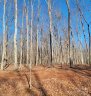 Lot 3 Brancer Lane sold home in Lincolnton, SC