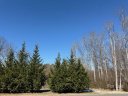 128 Oak Tree Drive 145 sold home in Mocksville, SC