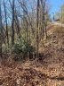 Lots 62 63 Oak Laurel Road 62,63 sold home in Brevard, SC