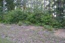 Lot 14 Bentley Court sold home in Rockwell, SC