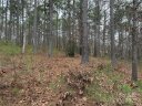 5501 Bridgewater Drive sold home in Granite Falls, SC