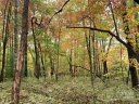 777 Cardinal Road sold home in Brevard, SC