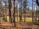 121 Bobby Jones Drive 48 sold home in Hendersonville, SC