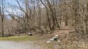 Tbd Live Oak Loop 93/95 sold home in Waynesville, SC