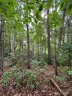 33 Woodglen Court sold home in Flat Rock, SC