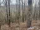 234 235 Hanging Rock Road sold home in Mars Hill, SC