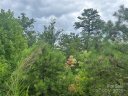 Tbd Lobelia Lane 72 sold home in Boone, SC