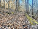 0 Bitteroot Circle sold home in Rutherfordton, SC