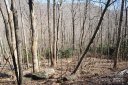 15 Wood Haven Lane 110 sold home in Black Mountain, SC