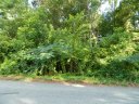 11301 N Hampton Drive sold home in Charlotte, SC