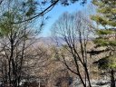 15 Elmwood Lane 161 sold home in Asheville, SC