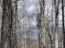 00 Old Country Road sold home in Waynesville, SC