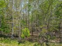 216 Elemental Way 100 sold home in Asheville, SC