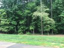 6228 Hollow Oak Road 84 sold home in Mint Hill, SC
