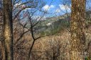 Lot 224 Cumberland Falls Trail sold home in Black Mountain, SC