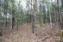 Lot 4 Ridge Way sold home in Marion, SC