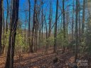 203 Bent Pine Trace 179 sold home in Hendersonville, SC