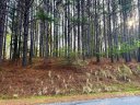 0 Clearwater Parkway sold home in Rutherfordton, SC