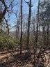 Tbd Leatherwood Road 24B sold home in Maggie Valley, SC