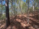 1105 Cleopatra Lane sold home in Connelly Springs, SC