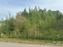 140 Four Andrews Drive sold home in Harmony, SC