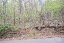 36 Great Aspen Way 312 sold home in Black Mountain, SC