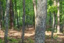 55 Arbra Mountain Way sold home in Bostic, SC