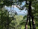 1110 Timberbluff Way sold home in Arden, SC