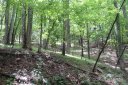 Tbd Poplar Drive Lot 152 sold home in Mills River, SC