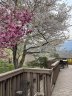 8 Stony Ridge sold home in Asheville, SC