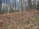 344 Tearshirt Lane sold home in Mars Hill, SC
