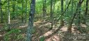 Lot 71 Serpentine Drive sold home in Columbus, SC