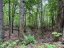 0 Quail Ridge Road 216 sold home in Lake Lure, SC