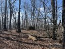 389 Mckinney Gap Road sold home in Mars Hill, SC