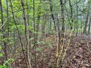 3666 Grandview Drive 23 sold home in Morganton, SC