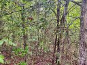 3680 Grandview Drive 22 sold home in Morganton, SC