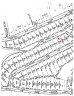 235 Millwheel Lane sold home in Mount Gilead, SC