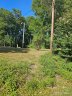 1915 Dove Drive sold home in Charlotte, SC