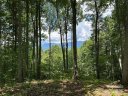 402 High Line Road sold home in Sylva, SC