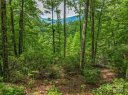 72 Smokey Ridge Trail 196 sold home in Arden, SC