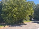 1541 1531 9th Street Lane sold home in Hickory, SC