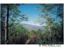 8 Stegall Lane 6 sold home in Asheville, SC