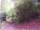 18 Barts Branch Drive sold home in Balsam Grove, SC