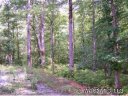 21 Barts Branch Drive sold home in Balsam Grove, SC