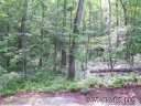 23 Barts Branch Drive sold home in Balsam Grove, SC