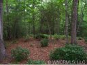 60 E Falls View Drive 58 sold home in Pisgah Forest, SC